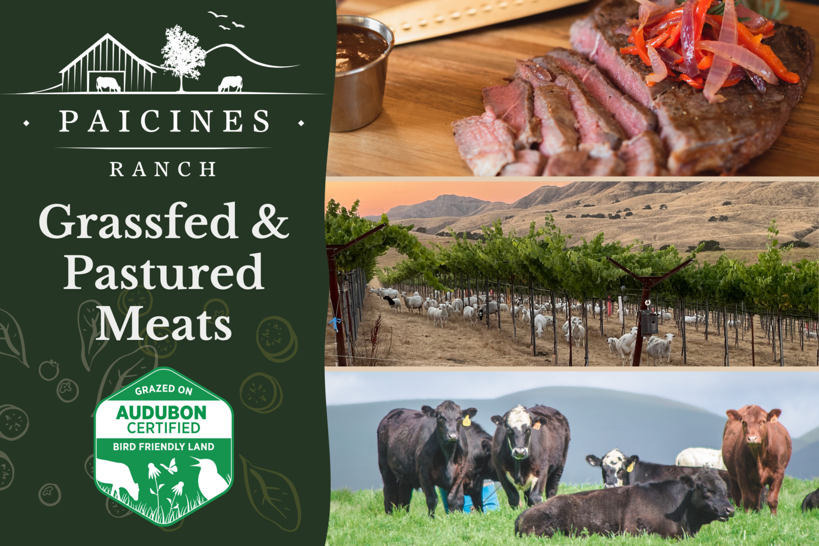 Paicines Ranch | Good Meat Project